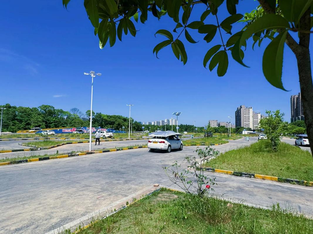 娄底驾考中心电话号码是多少